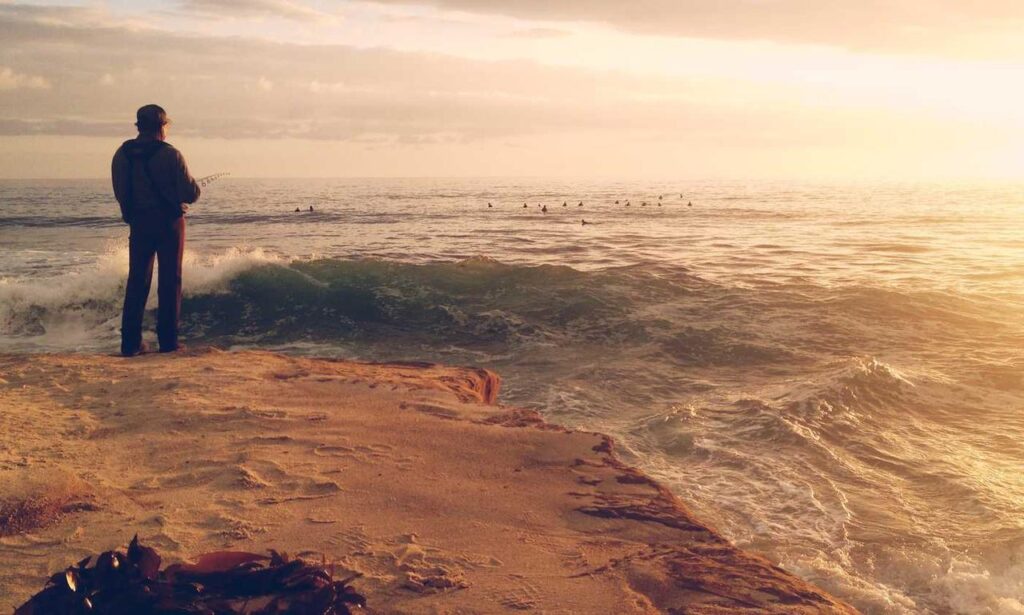 sffarebaseball results