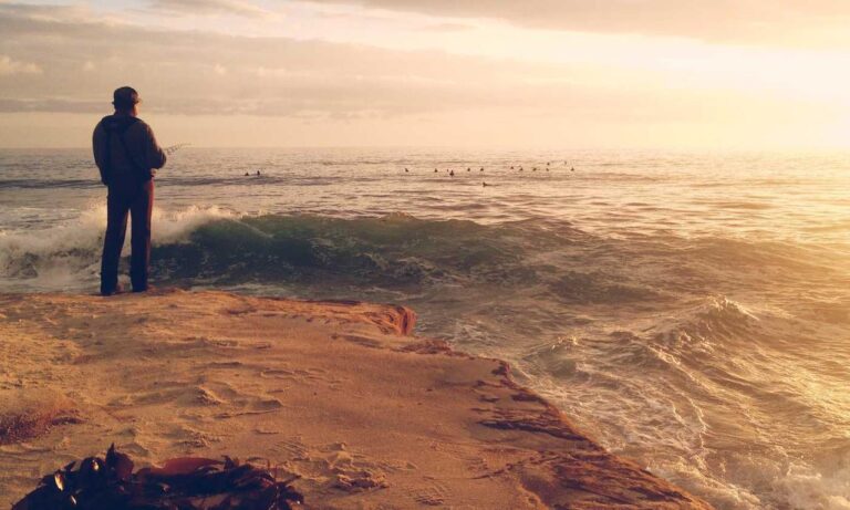 sffarebaseball results