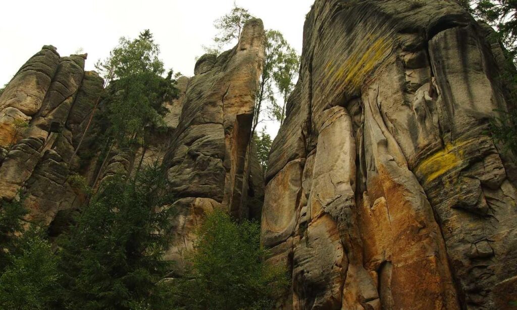 sffarebaseball statistics