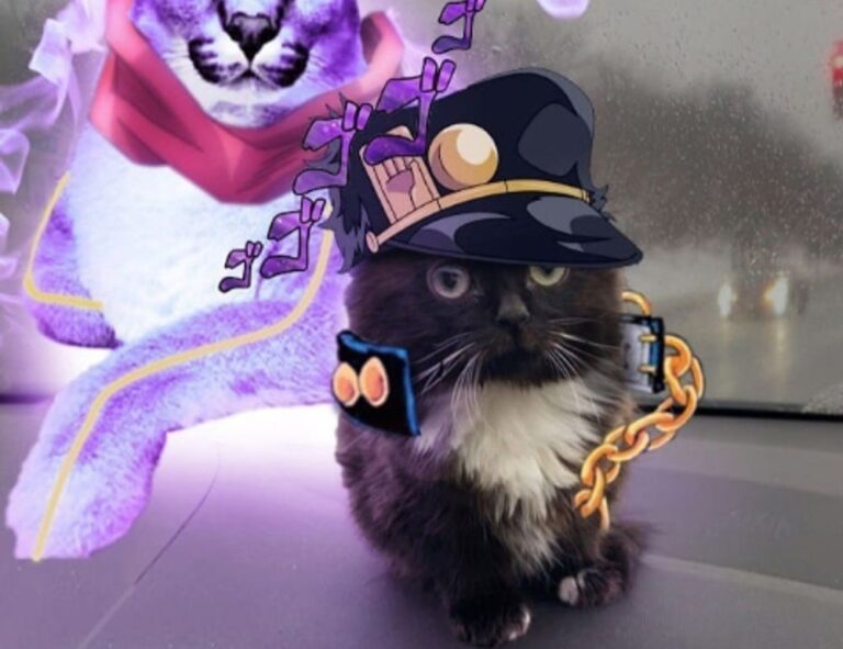 sffarebaseball upcoming fixtures