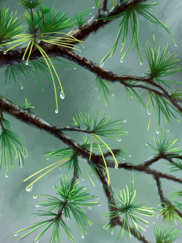 sffareboxing fixtures today