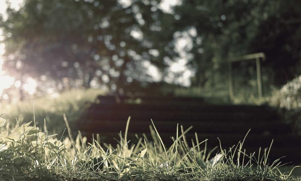 sffareboxing schedules 2023