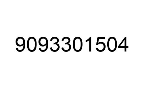 9093301504
