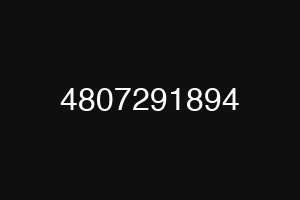 4807291894