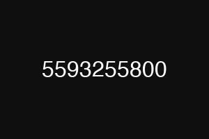 5593255800