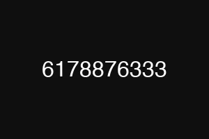 6178876333