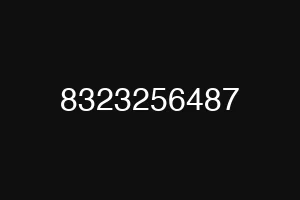 8323256487