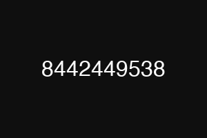 8442449538