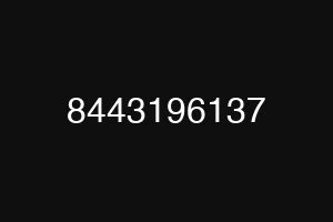 8443196137