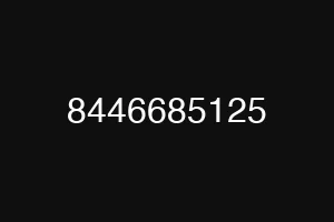 8446685125