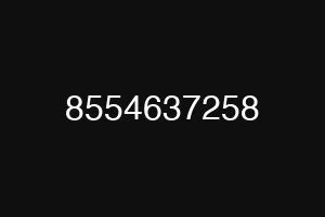 8554637258