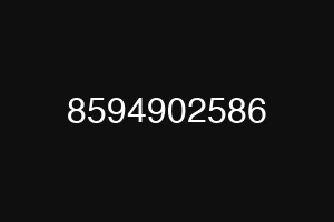 8594902586