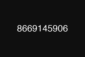 8669145906