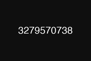 3279570738