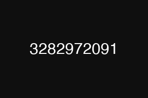 3282972091