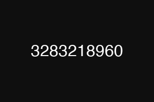 3283218960