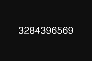 3284396569