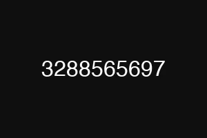 3288565697