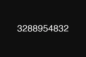 3288954832