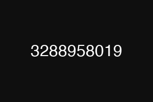 3288958019