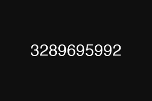 3289695992