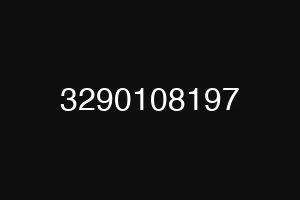 3290108197