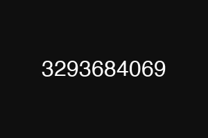 3293684069