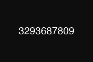 3293687809