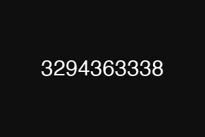 3294363338