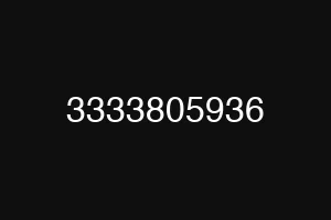 3333805936