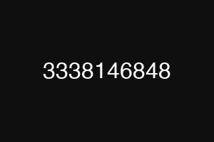 3338146848