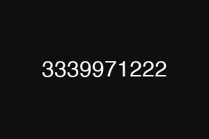 3339971222