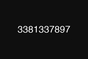 3381337897