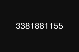 3381881155