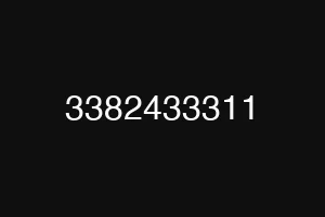 3382433311