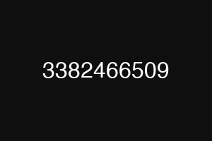 3382466509