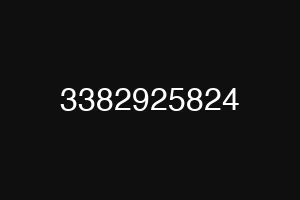 3382925824