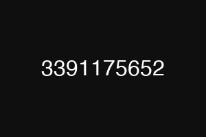 3391175652