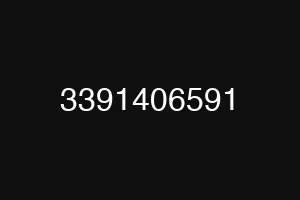 3391406591