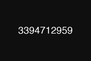 3394712959