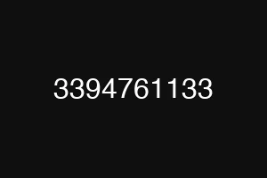 3394761133