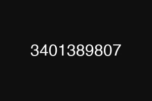 3401389807