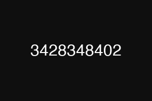 3428348402