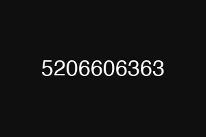 5206606363