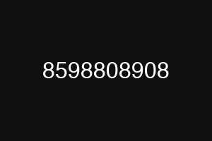 8598808908
